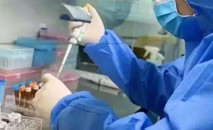 新型guan状病毒候选疫苗进展如何？